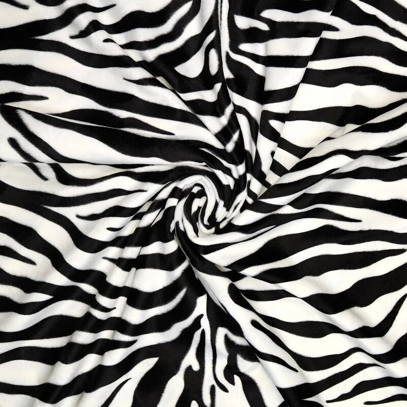 B zebra